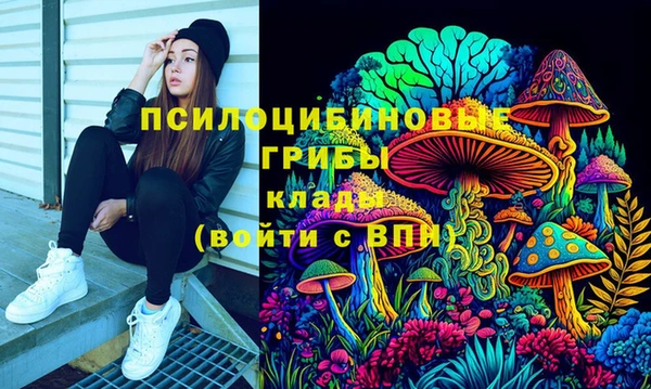 индика Краснослободск