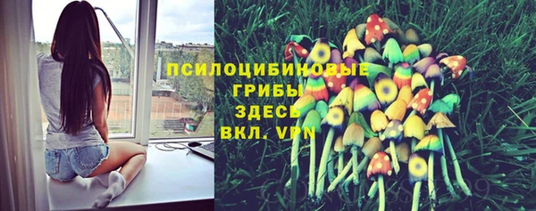 бутират Майский