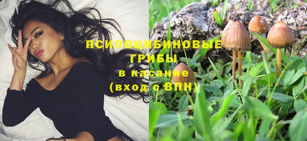 мет Магас