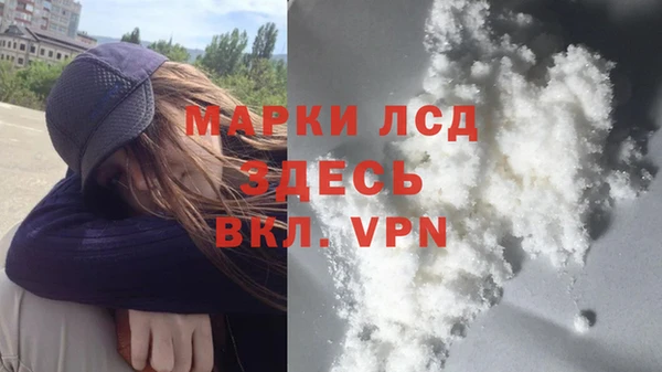 индика Краснотурьинск